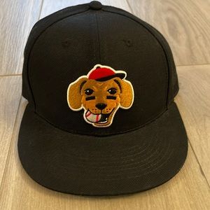 Baseballism Dachshund Cap (Bow Wow Collection)